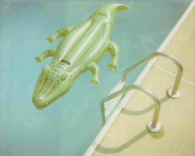 Crocodile Ladder - Jena Ardell